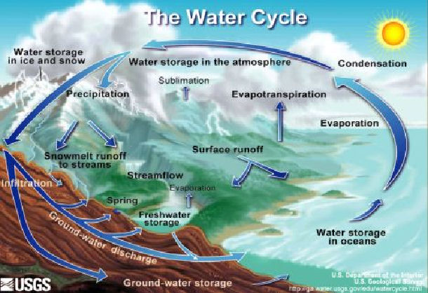 Eco System/Water Cycle Explanation