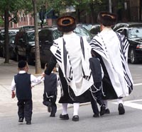 Ultra-Orthodox Jews in New York